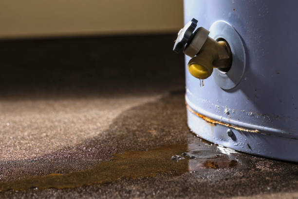 Best Professional water damage repair  in Nd Lake, WI