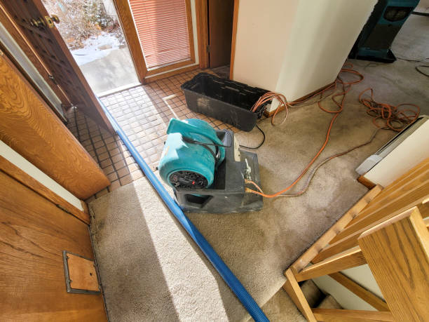 Water damage restoration experts in WI