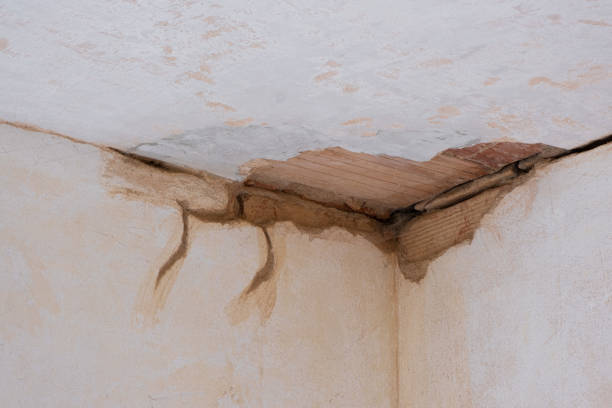 Best Water damage cleanup near me  in Nd Lake, WI