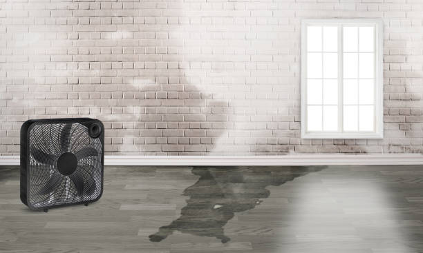 Best Ceiling water damage repair  in Nd Lake, WI