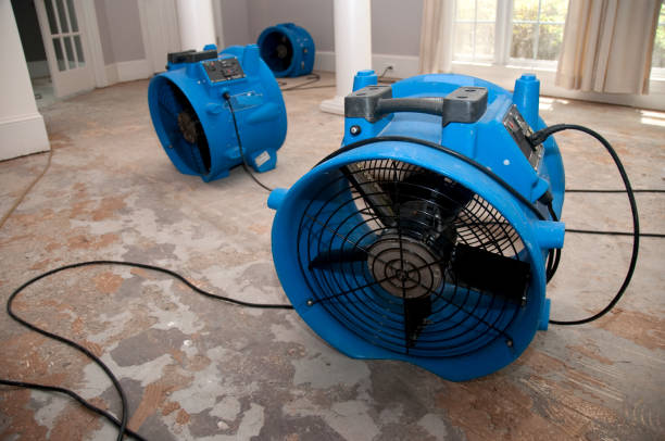 Best Water damage restoration process  in Nd Lake, WI