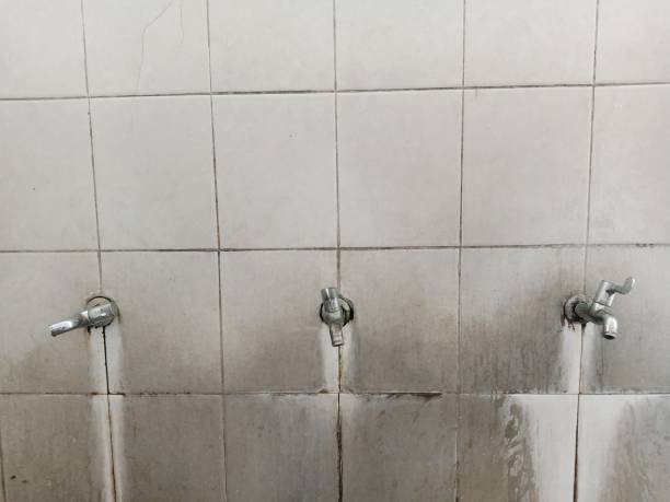 Best Local water damage restoration  in Nd Lake, WI